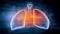 ستاد فرهنگسازی اقتصاد دانش بنیان Chinese researchers report first lung stem cell transplantation clinical trial