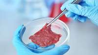 ستاد فرهنگسازی اقتصاد دانش بنیان US paves way to get ‘lab meat’ on plates