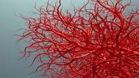 ستاد فرهنگسازی اقتصاد دانش بنیان Team develops new way to grow blood vessels