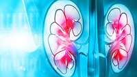 ستاد فرهنگسازی اقتصاد دانش بنیان MAPK pathway mediates normal kidney development, reveals study