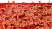 ستاد فرهنگسازی اقتصاد دانش بنیان New light shed on how bone marrow niches keep stem cells thriving