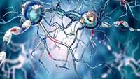 ستاد فرهنگسازی اقتصاد دانش بنیان Key to Effective Parkinson’s Treatment May Lie in Stem Cells, Researchers Say