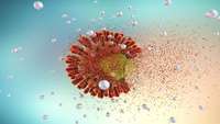 ستاد فرهنگسازی اقتصاد دانش بنیان CAR T-Cell Therapy Shows Potential to Fight HIV