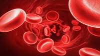 ستاد فرهنگسازی اقتصاد دانش بنیان CRISPR used to improve red blood cell transfusion compatibility