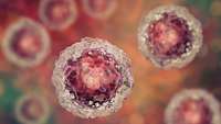 ستاد فرهنگسازی اقتصاد دانش بنیان Mayo Clinic researchers develop more efficient system to reprogram stem cells