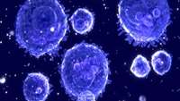 ستاد فرهنگسازی اقتصاد دانش بنیان Researchers reveal new mechanism to activate the immune system against cancer