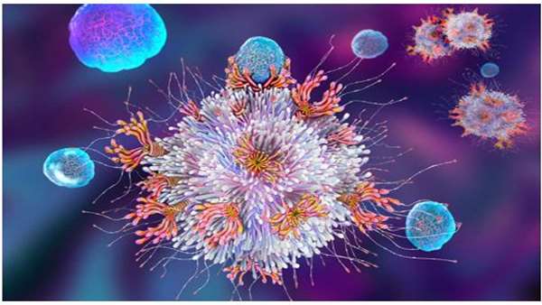  Iranian Stem Cell Counil New CAR T cell therapy approach minimizes severe side effects